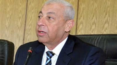 محافظ أسوان: نعمل على جعل أسوان مدينة سياحية عالمية