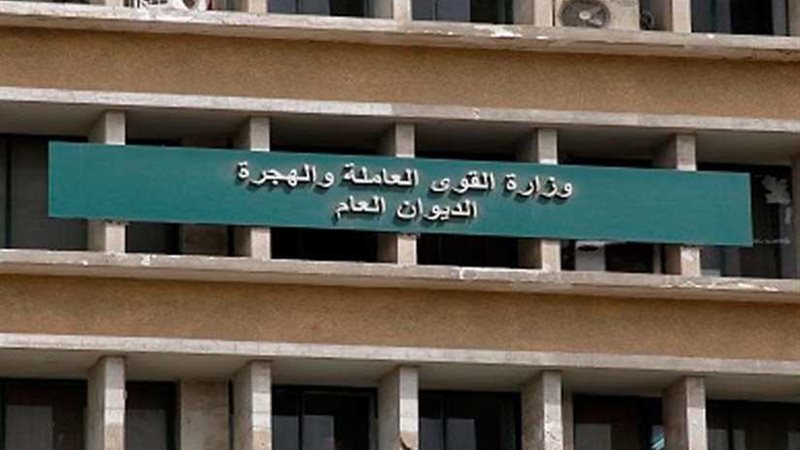 القوى العاملة تدريب