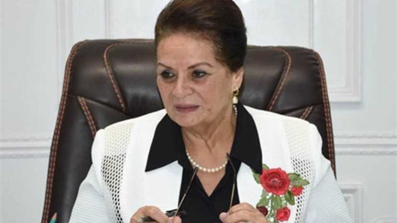 محافظ البحيرة: بدء