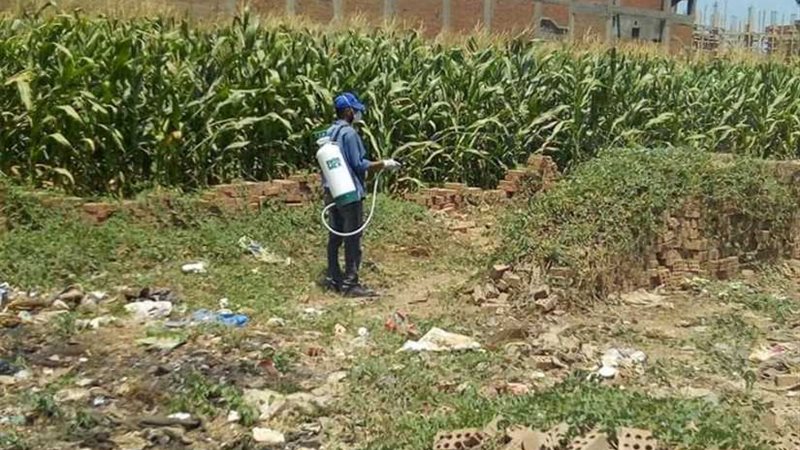 المنوفية تواصل مكافحة