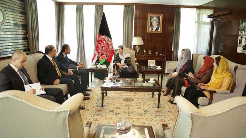 السفير المصري في