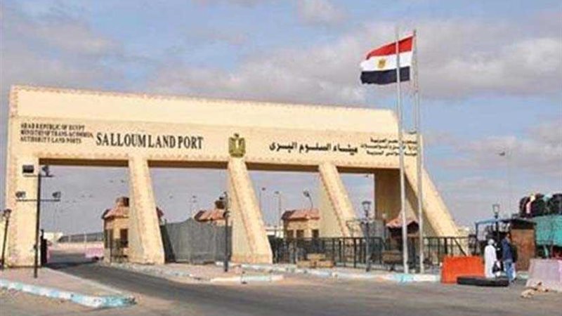 عودة 359 مصريا من