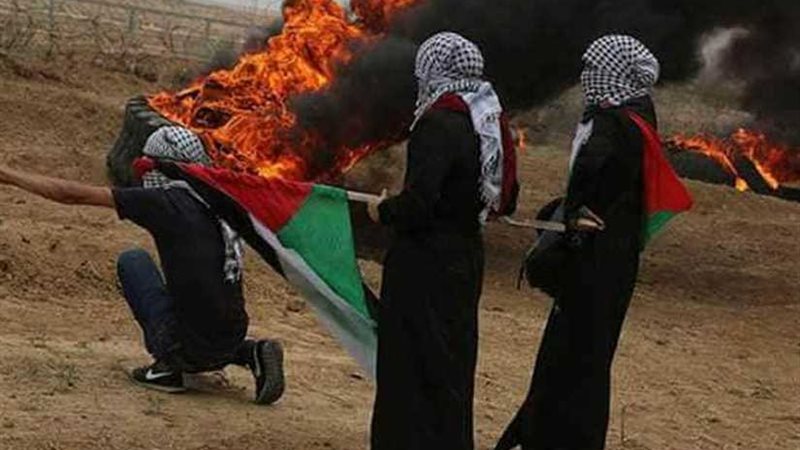 80 اصابة في جمعة