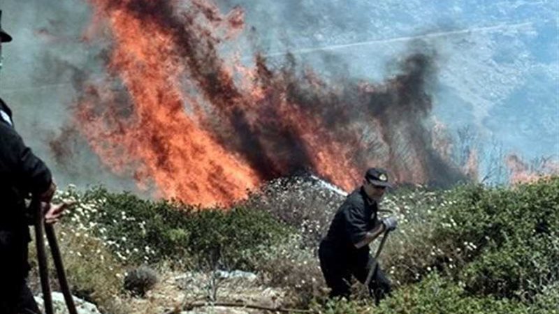 استقالة وزير الحماية