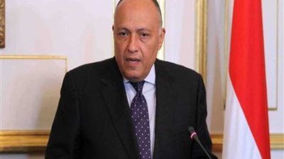 شكري: مصر وإيطاليا تعملان بكل جهد على تجاوز التحدي الذي واجهته العلاقات الثنائية