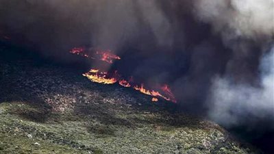 إقالة قائد الشرطة اليونانية ورئيس مرفق الإطفاء بسبب حرائق الغابات الأخيرة