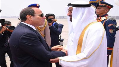 المتحدث الرئاسي: السيسي وبن زايد يرفضان التدخل في الشؤون الداخلية للدول العربية