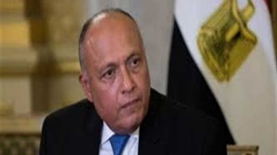 شكري يلتقي مستشار الأمن القومي الأمريكي 