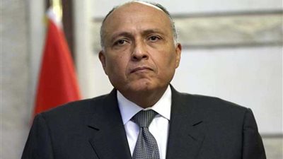 الخارجية: مصر تتابع بقلق الأزمة بين السعودية وكندا.. وتعرب عن تضامنها مع المملكة