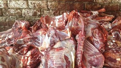 اعدام 1202 كيلو لحم ودواجن فاسدة بحملة فى العبور