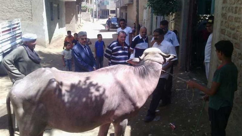 قافلة بيطرية للكشف