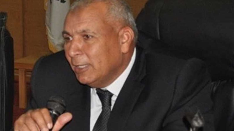 محافظ الوادي الجديد