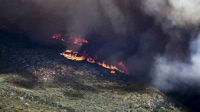 إقالة قائد الشرطة