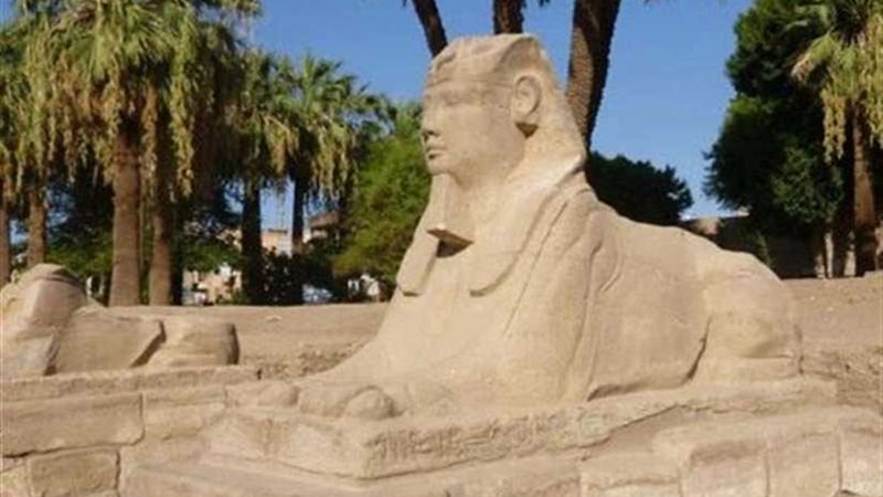 أبو الهول يظهر في