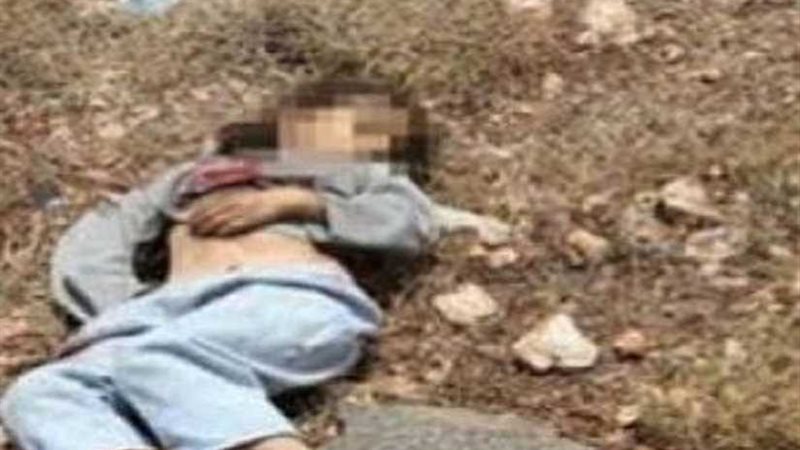 جريمة هزت الإسماعيلية..