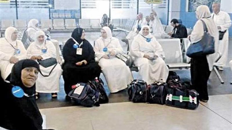 مصر للطيران تسير