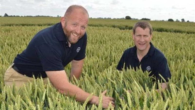 اتحاد المزارعين البريطاني