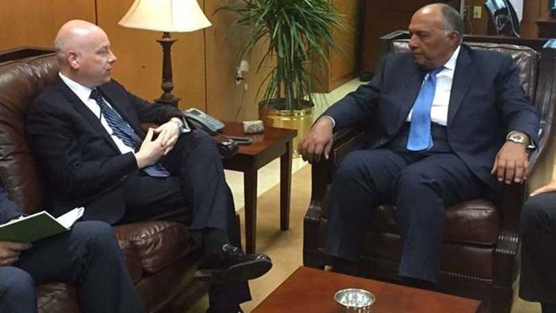 شاهد..شكري يستقبل