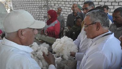محافظ المنيا يتفقد محلج شركة الأمير لحليج وتصدير الأقطان بالمنطقة الصناعية