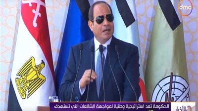 استراتيجية حكومية لمجابهة الشائعات (فيديو)