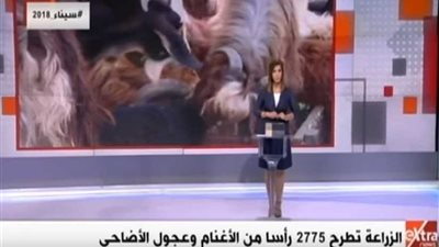 الزراعة: استعددنا لـ
