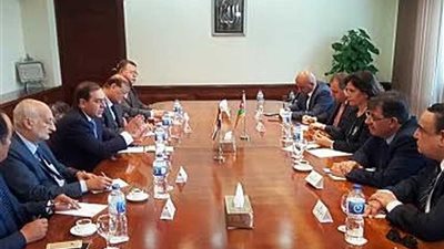 شركات مصرية تبدأ فى توصيل الغاز داخل المنازل بالأردن