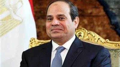 الرئيس السيسى يأمر بعلاج الطفلة مروة علي نفقة الدولة