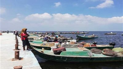 شمال سيناء : 65 طنا من الأسماك الإنتاج اليومي لبحيرة البردويل