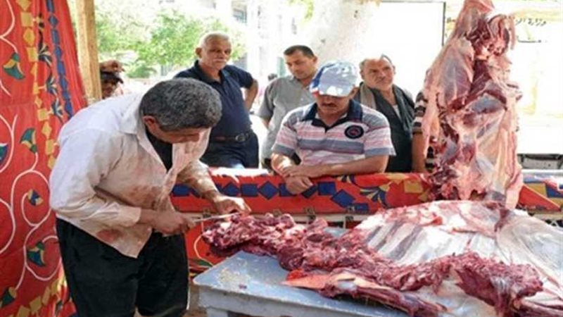 توفير اللحوم البلدية