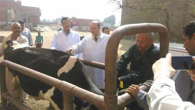 36 قافلة بيطرية قضت