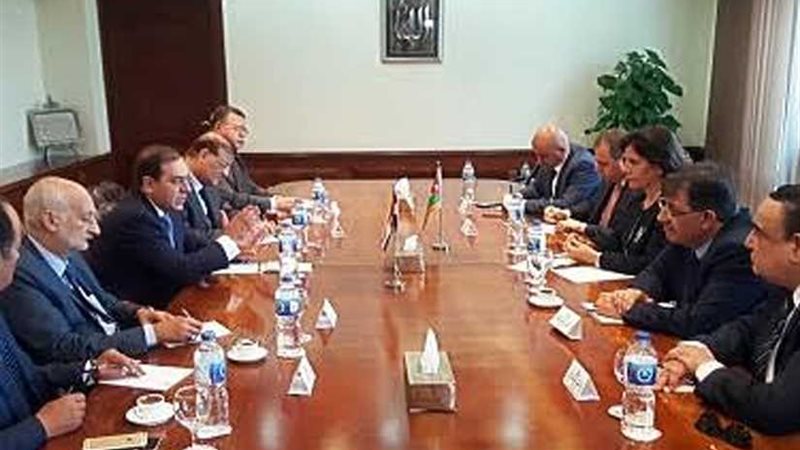 شركات مصرية تبدأ