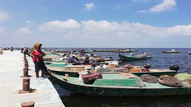 شمال سيناء : 65 طنا