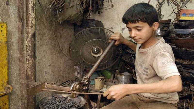 أستاذ اجتماع: عمالة