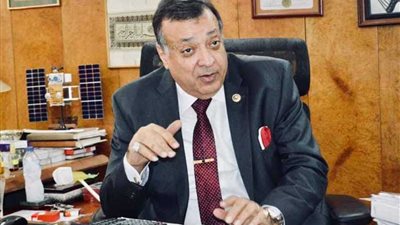 سعد الدين: الغاز الطبيعي أوفر من 