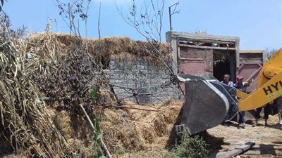 إزالة حالتي تعدٍ على أراضٍ زراعية بطلخا