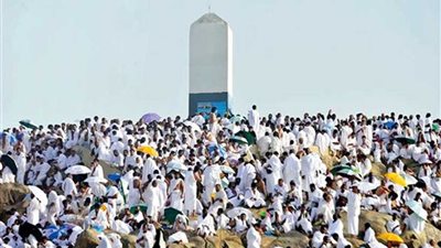 حلقات خاصة في البرامج الدينية بقطاع التليفزيون احتفالًا بيوم عرفه