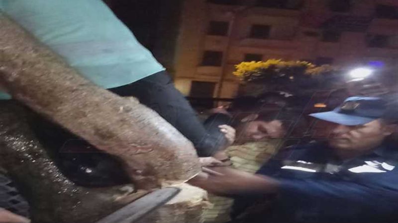 الحماية المدنية تنقذ