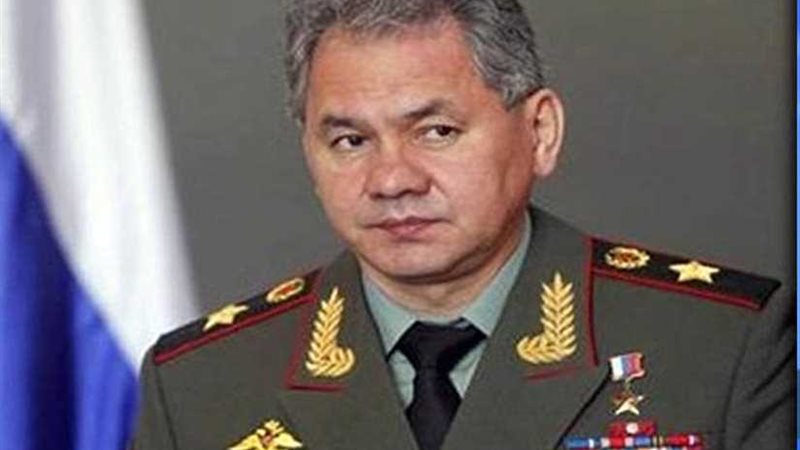 شويجو: مبيعات روسيا