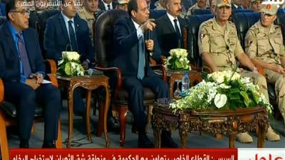 السيسي للعاملين بمجمع الأسمنت: كلامي قاسٍ لكن المصنع اتعمل 