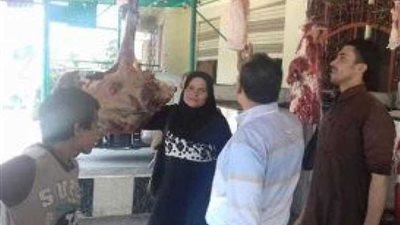 تحرير 46 محضر تمويني مخالف خلال حملة تفتيشية بالمنيا