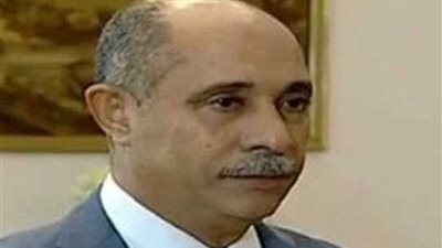 أعضاء مجالس الشركات التابعة لوزارة الطيران يتنازلون عن أرباحهم