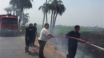 السيطرة على حريق شب في حقل زراعي بملوى