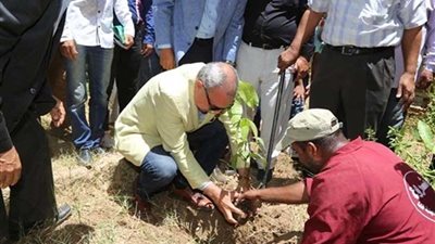 محافظ قنا يغرس أولى أشجار مبادرة 