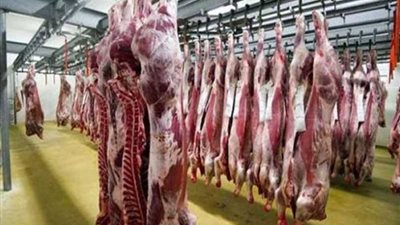 رفع درجة الاستعداد وإلغاء الإجازات في المجازر استعدادا لعيد الأضحى