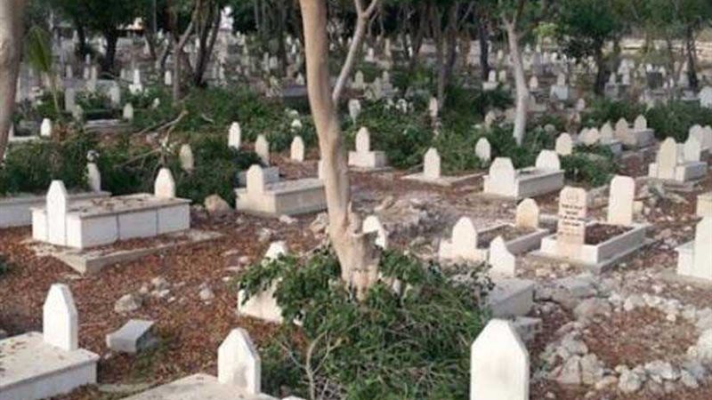 يصطاد النساء ليلًا