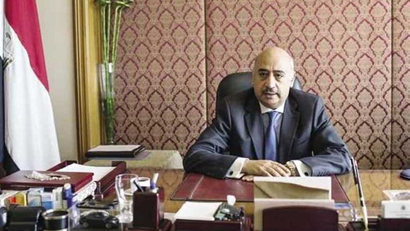 السفير المصري في