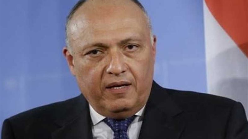 وزير الخارجية يستقبل