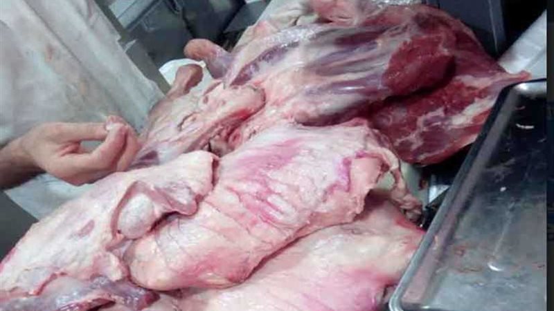 مباحث القاهرة تداهم