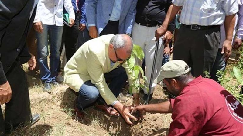 محافظ قنا يغرس أولى