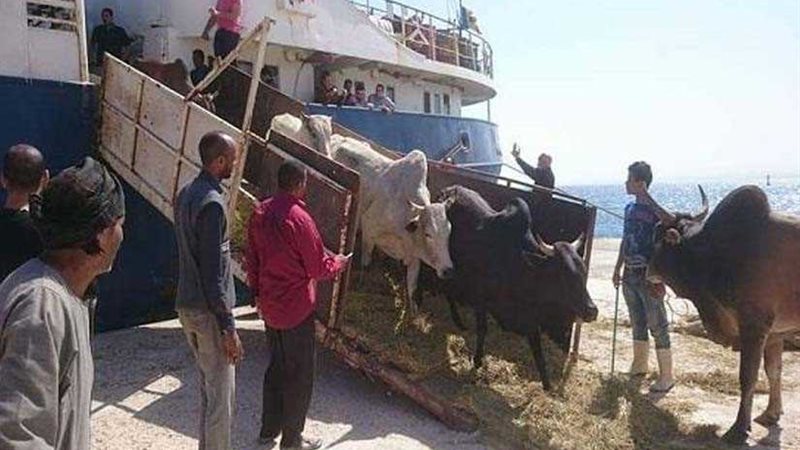 ميناء الإسكندرية